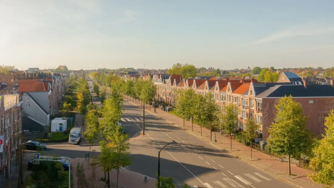 Stroomstoring Noord-Brabant zomer: oorzaak en